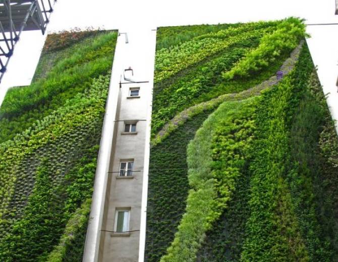 12 jardins bizarros e magníficos do mundo todo